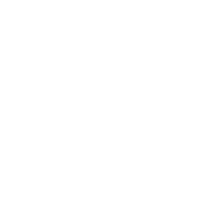 dnit logo white